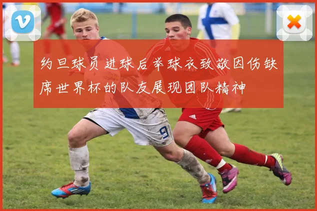 约旦球员进球后举球衣致敬因伤缺席世界杯的队友展现团队精神