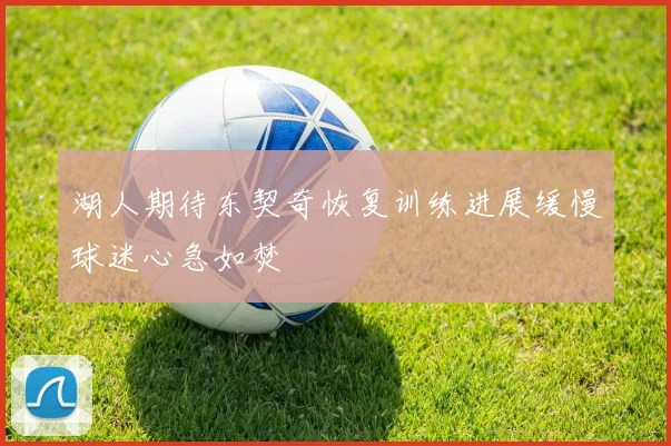湖人期待东契奇恢复训练进展缓慢球迷心急如焚