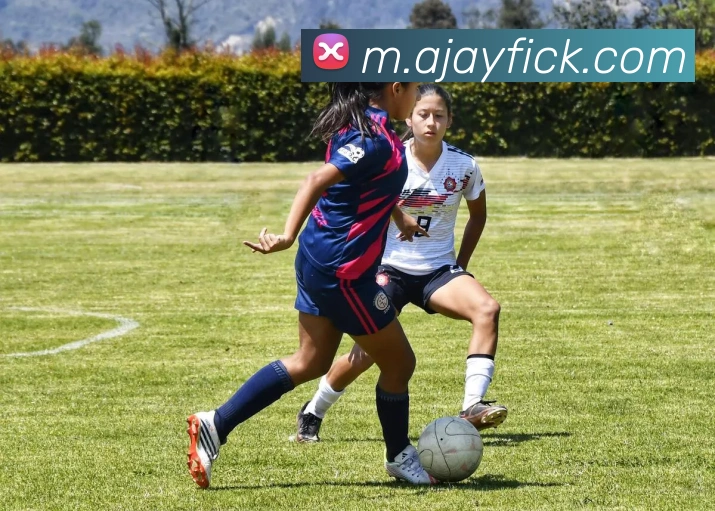 未来规划